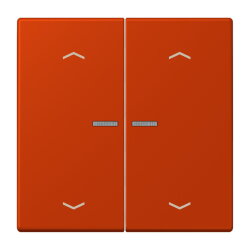 Jung HOME Taster 2fach, mit Pfeilsymbolen, Serie LS,...