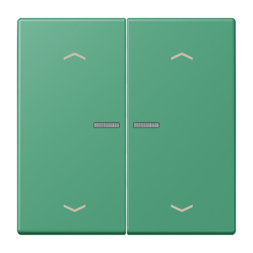 Jung HOME Taster 2fach, mit Pfeilsymbolen, Serie LS, vert 59 BTLC17102P250