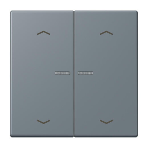 Jung HOME Taster 2fach, mit Pfeilsymbolen, Serie LS, gris 59 BTLC17102P251