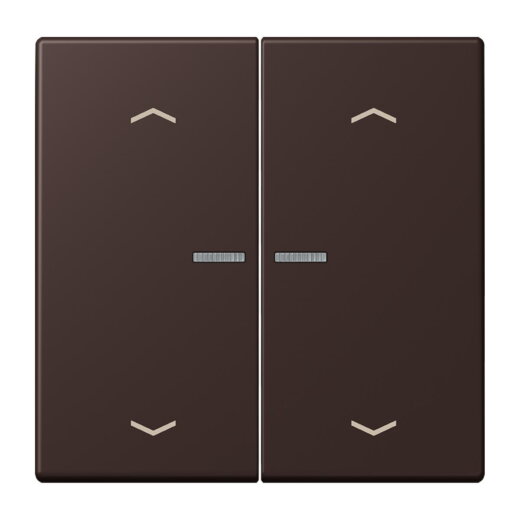 Jung HOME Taster 2fach, mit Pfeilsymbolen, Serie LS, terre d?ombre br?lée 59 BTLC17102P252