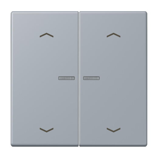 Jung HOME Taster 2fach, mit Pfeilsymbolen, Serie LS, gris clair 59 BTLC17102P257