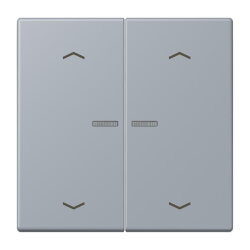 Jung HOME Taster 2fach, mit Pfeilsymbolen, Serie LS, gris...