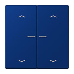 Jung HOME Taster 2fach, mit Pfeilsymbolen, Serie LS, bleu...