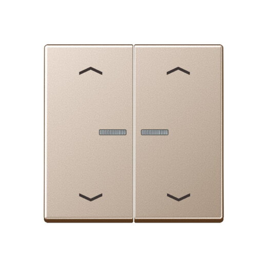 Jung HOME Taster 2fach, mit Pfeilsymbolen, Serie A, champagner BTA17102PCH