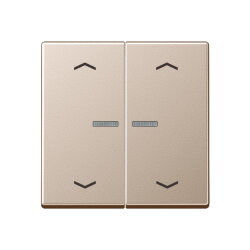 Jung HOME Taster 2fach, mit Pfeilsymbolen, Serie A,...