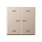 Jung HOME Taster 2fach, mit Pfeilsymbolen, Serie A, champagner BTA17102PCH