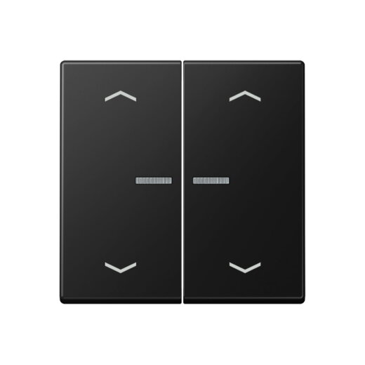 Jung HOME Taster 2fach, mit Pfeilsymbolen, Thermoplast lackiert, Serie A, graphitschwarz matt BTA17102PSWM