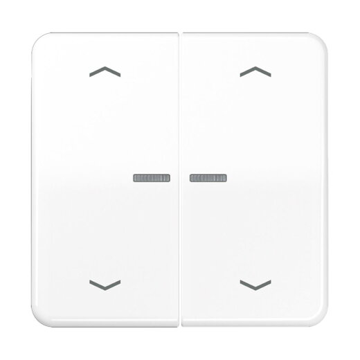 Jung HOME Taster 2fach, mit Pfeilsymbolen, Duroplast, Serie CD, alpinweiß BTCD17102PWW
