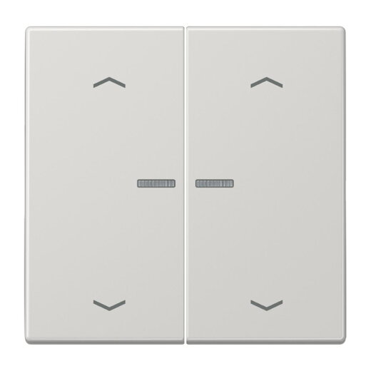 Jung HOME Taster 2fach, mit Pfeilsymbolen, Duroplast, Serie LS, lichtgrau BTLS17102PLG
