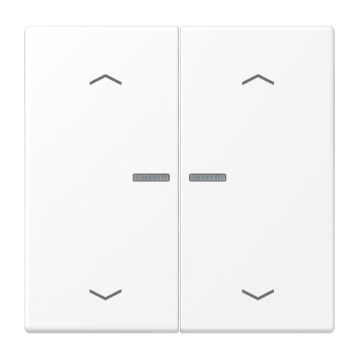 Jung HOME Taster 2fach, mit Pfeilsymbolen, Serie LS, schneeweiß matt BTLS17102PWWM