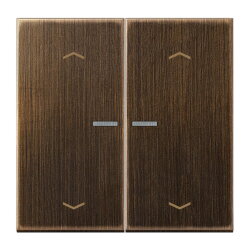 Jung HOME Taster 2fach, mit Pfeilsymbolen, Messing, Serie...