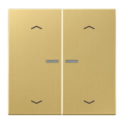 Jung HOME Taster 2fach, mit Pfeilsymbolen, Messing, Serie...