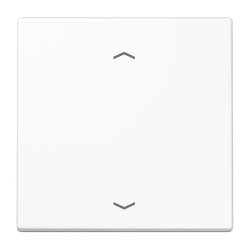 Jung Wippe, mit Pfeilsymbolen für Taster 1fach,...