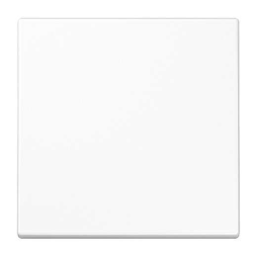 Jung Wippe für Taster 1fach, Duroplast antimikrobiell, Serie LS, alpinweiß SPLS101WW