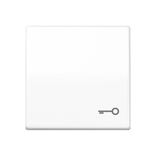 Jung Wippe, Symbol Tür, Duroplast antimikrobiell, Serie AS, alpinweiß SPAS591TWW