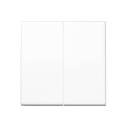 Jung Wippe 2fach, Duroplast antimikrobiell, Serie AS,...