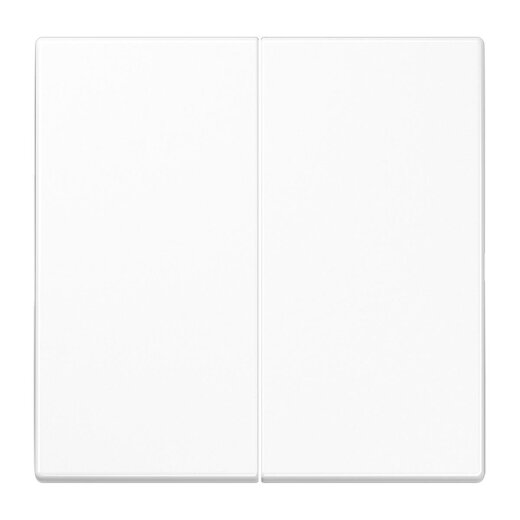 Jung Wippe 2fach, Duroplast antimikrobiell, Serie LS, alpinweiß SPLS995WW