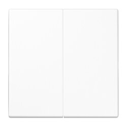 Jung Wippe 2fach, Duroplast antimikrobiell, Serie LS,...