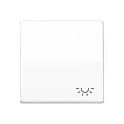 Jung Wippe 1fach, Symbol Licht, Duroplast antimikrobiell,...