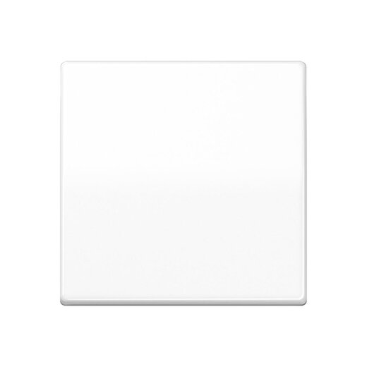 Jung Wippe 1fach, Duroplast antimikrobiell, Serie AS, alpinweiß SPAS591WW