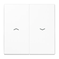 Jung Wippe, mit Pfeilsymbolen für Taster 2fach,...