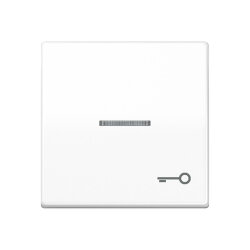 Jung Wippe mit Lichtleiter, Symbol Tür, Duroplast...