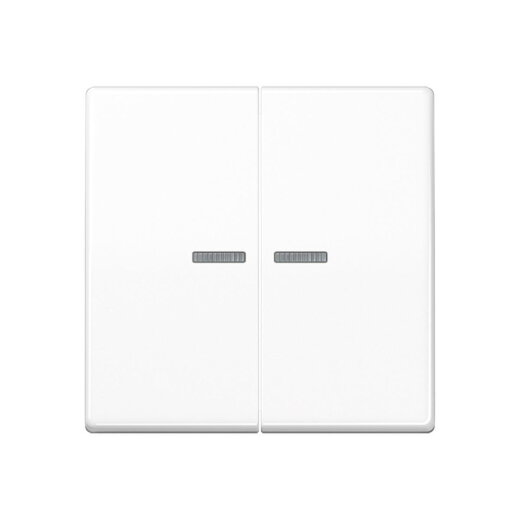 Jung Wippe 2fach mit Lichtleiter, Duroplast antimikrobiell, Serie AS, alpinweiß SPAS591-5KO5WW