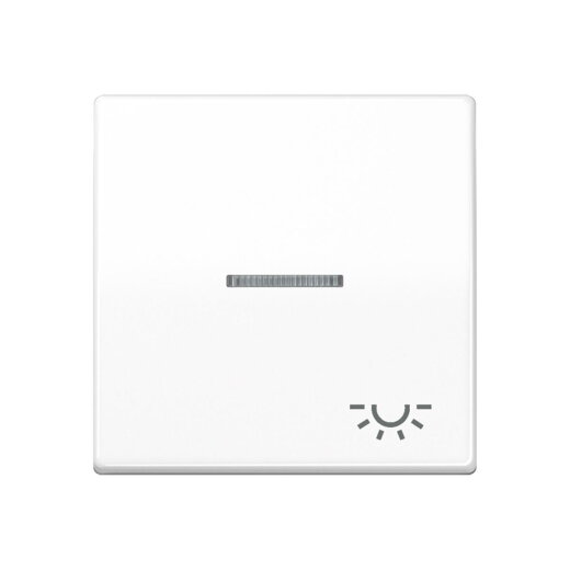 Jung Wippe 1fach mit Lichtleiter, Symbol Licht, Duroplast antimikrobiell, Serie AS, alpinweiß SPAS591KO5LWW