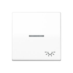 Jung Wippe 1fach mit Lichtleiter, Symbol Licht, Duroplast...