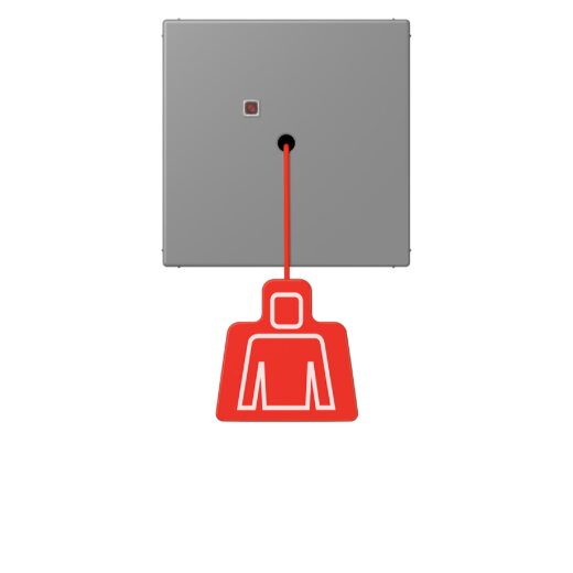 Jung Notrufsystem Zugtaster, Serie LS, gris 31 NRSLC0834ZT203