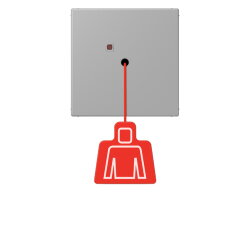 Jung Notrufsystem Zugtaster, Serie LS, gris moyen...