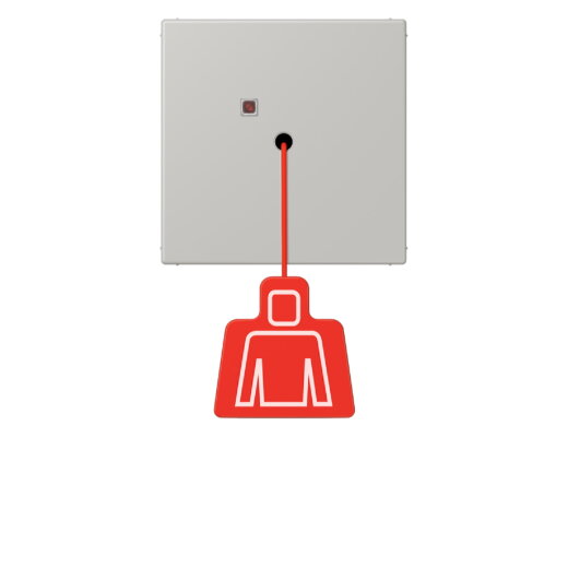 Jung Notrufsystem Zugtaster, Serie LS, gris clair 31 NRSLC0834ZT205