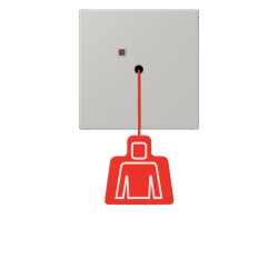 Jung Notrufsystem Zugtaster, Serie LS, gris clair 31...