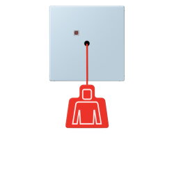 Jung Notrufsystem Zugtaster, Serie LS, outremerclair...