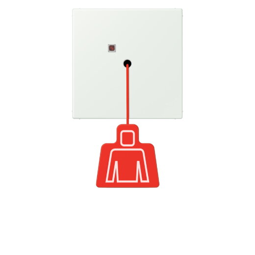 Jung Notrufsystem Zugtaster, Serie LS, outremer gris NRSLC0834ZT210