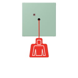 Jung Notrufsystem Zugtaster, Serie LS, vert anglais clair...