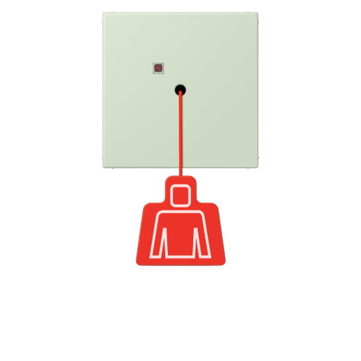 Jung Notrufsystem Zugtaster, Serie LS, vert anglâis pale NRSLC0834ZT218