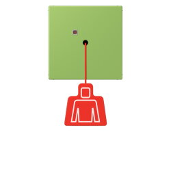 Jung Notrufsystem Zugtaster, Serie LS, vert 31...