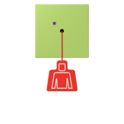 Jung Notrufsystem Zugtaster, Serie LS, vert clair...