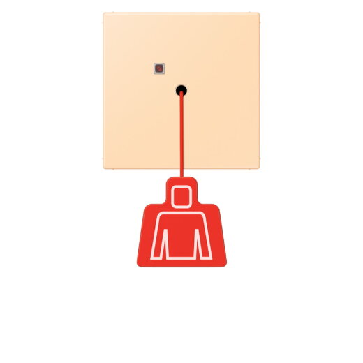 Jung Notrufsystem Zugtaster, Serie LS, ocre NRSLC0834ZT223