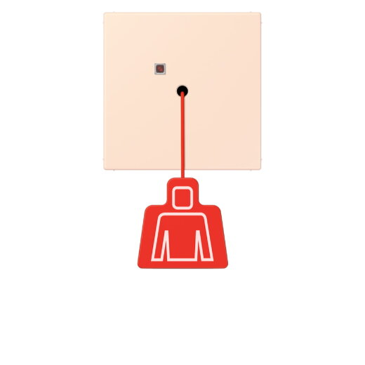 Jung Notrufsystem Zugtaster, Serie LS, orange pâle NRSLC0834ZT226
