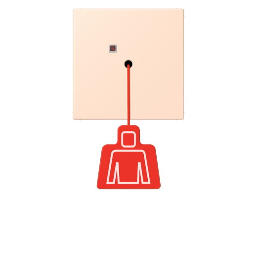 Jung Notrufsystem Zugtaster, Serie LS, rose pâle NRSLC0834ZT228