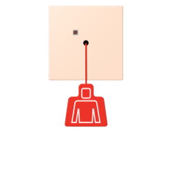 Jung Notrufsystem Zugtaster, Serie LS, rose pâle...