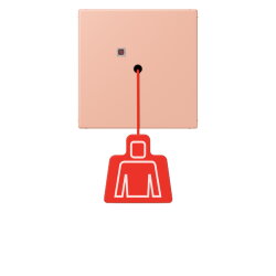 Jung Notrufsystem Zugtaster, Serie LS, rose clair...