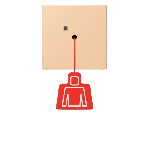 Jung Notrufsystem Zugtaster, Serie LS, terre sienne claire 31 NRSLC0834ZT237