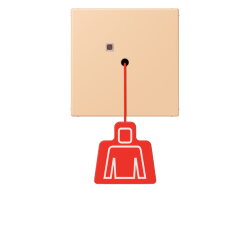 Jung Notrufsystem Zugtaster, Serie LS, terre sienne...