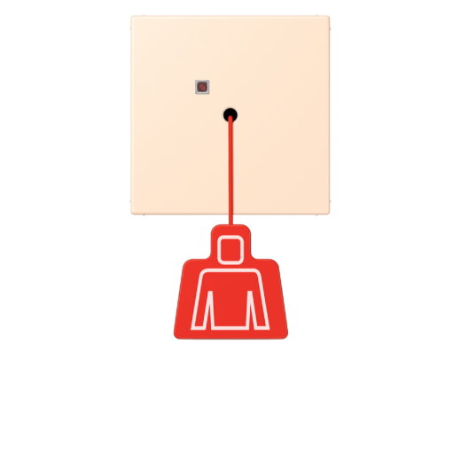 Jung Notrufsystem Zugtaster, Serie LS, terre sienne pâle NRSLC0834ZT238