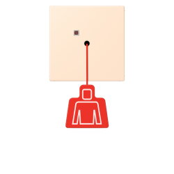 Jung Notrufsystem Zugtaster, Serie LS, terre sienne...