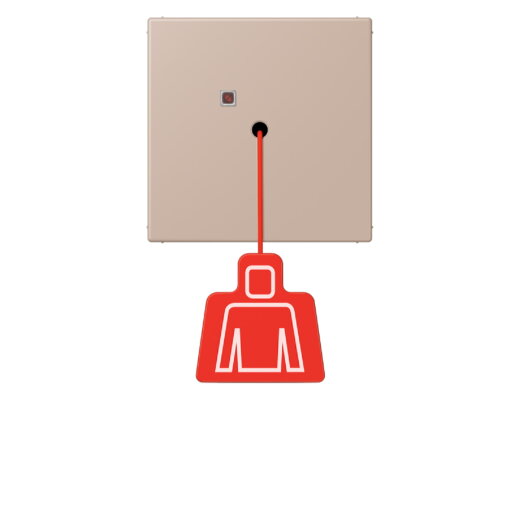 Jung Notrufsystem Zugtaster, Serie LS, ombre br?lée claire NRSLC0834ZT240