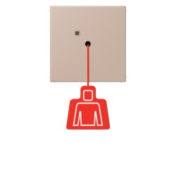 Jung Notrufsystem Zugtaster, Serie LS, ombre...